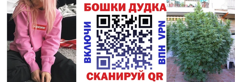  COCAIN Шацк