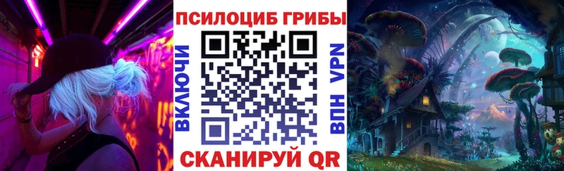 Галлюциногенные грибы Magic Shrooms  как найти закладки  Шацк 